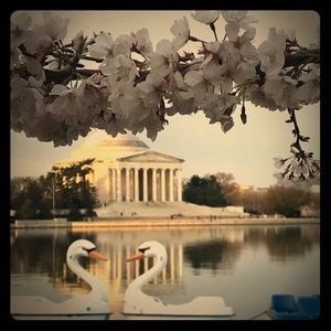 Meet your Posher, Sus